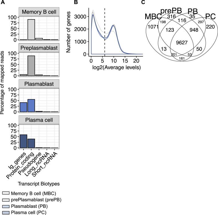 https://cdn.ncbi.nlm.nih.gov/pmc/blobs/94de/8102200/e7f71b2e6d82/41375_2021_1234_Fig1_HTML.jpg