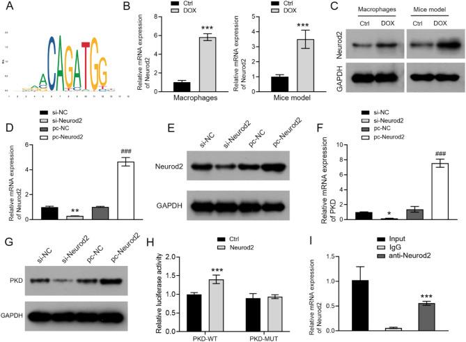 https://cdn.ncbi.nlm.nih.gov/pmc/blobs/94e0/11916933/8edd64b0c91d/12872_2025_4626_Fig4_HTML.jpg