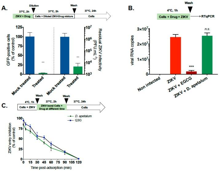 https://cdn.ncbi.nlm.nih.gov/pmc/blobs/94e2/6567149/794599a1fbb1/ijms-20-02382-g005.jpg