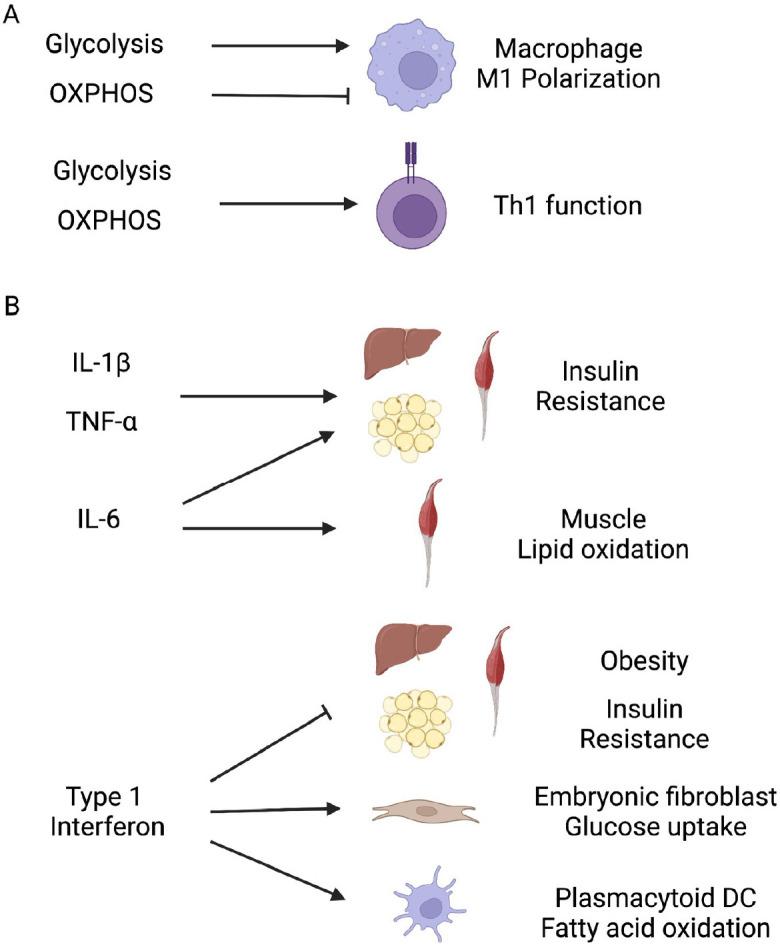 https://cdn.ncbi.nlm.nih.gov/pmc/blobs/94e2/9252895/577d1074f880/bmb-55-6-259-f1.jpg