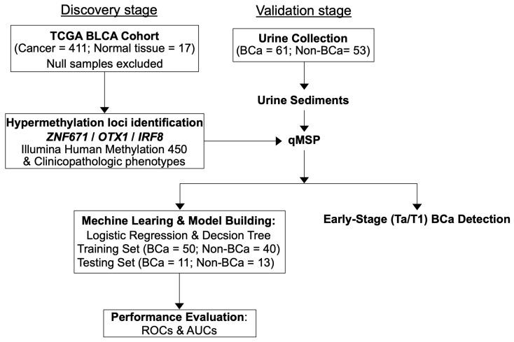 https://cdn.ncbi.nlm.nih.gov/pmc/blobs/94e3/10931331/fde76d47ef4b/diagnostics-14-00468-g001.jpg