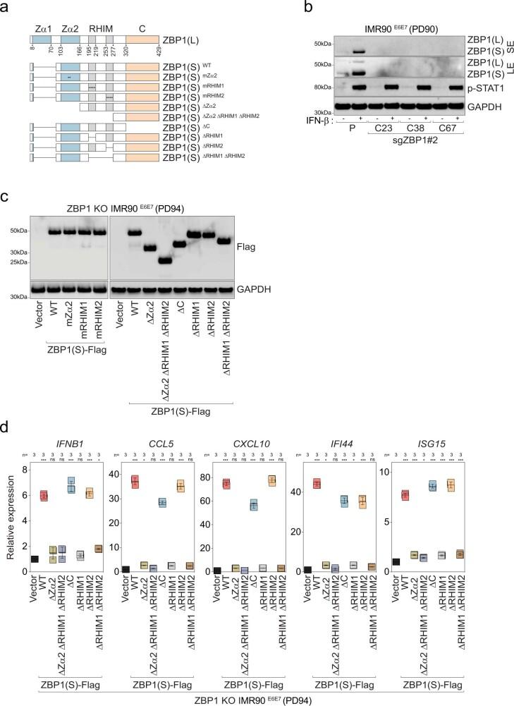 https://cdn.ncbi.nlm.nih.gov/pmc/blobs/94e3/9946831/088ef7587b31/41586_2023_5710_Fig9_ESM.jpg