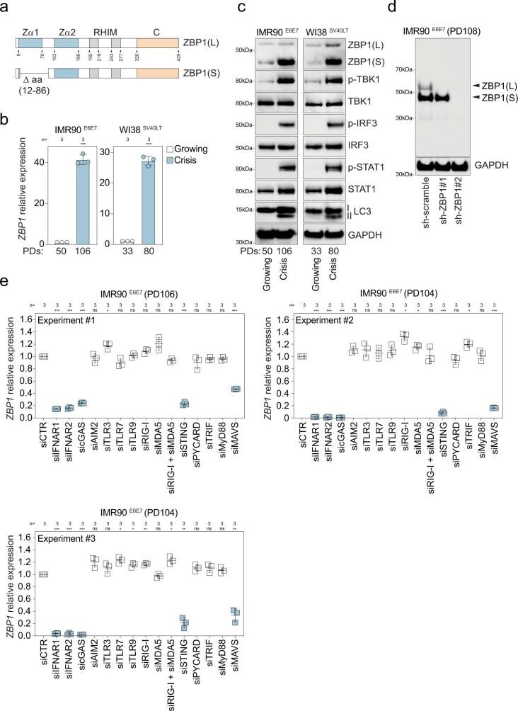 https://cdn.ncbi.nlm.nih.gov/pmc/blobs/94e3/9946831/1c1e7cfa4dc7/41586_2023_5710_Fig8_ESM.jpg