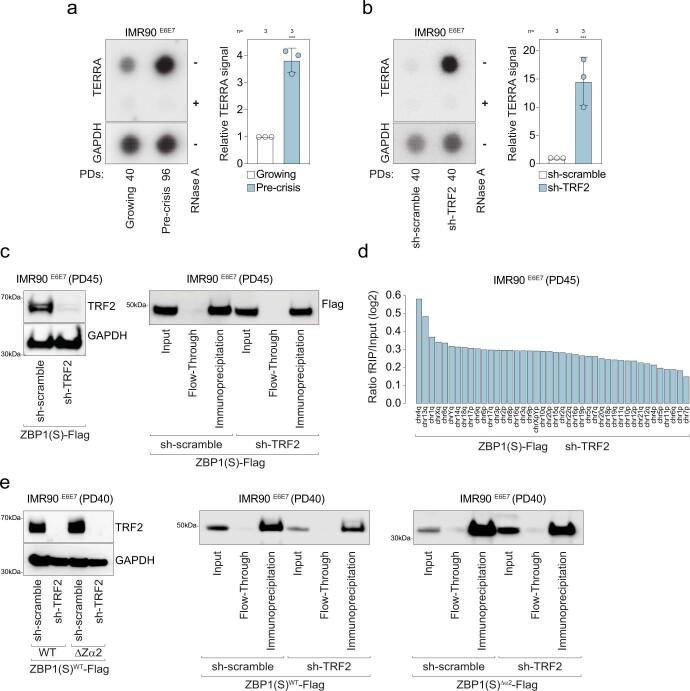 https://cdn.ncbi.nlm.nih.gov/pmc/blobs/94e3/9946831/40cea5c58abe/41586_2023_5710_Fig12_ESM.jpg