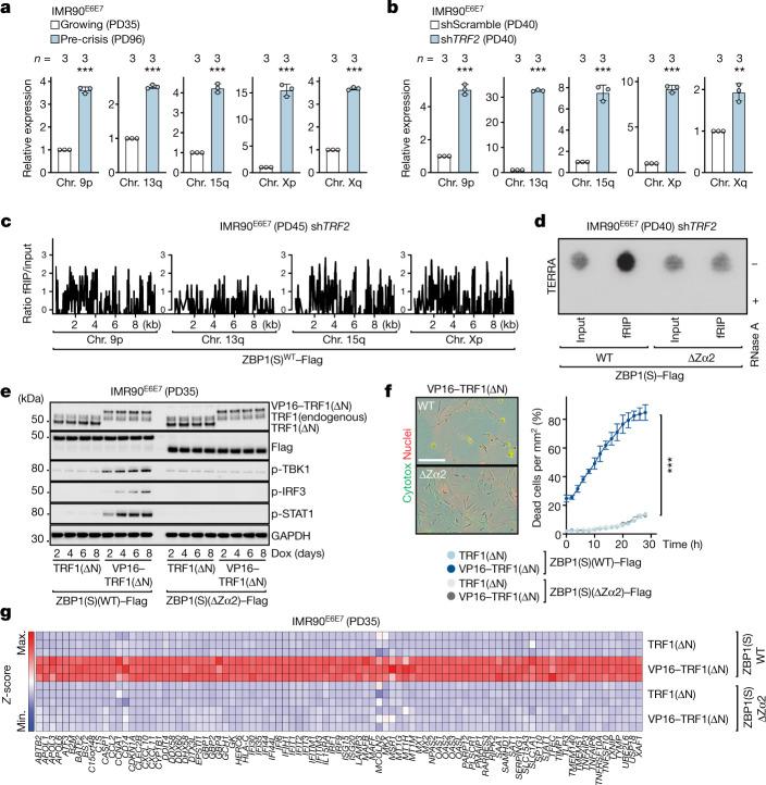https://cdn.ncbi.nlm.nih.gov/pmc/blobs/94e3/9946831/447569c4fd07/41586_2023_5710_Fig3_HTML.jpg