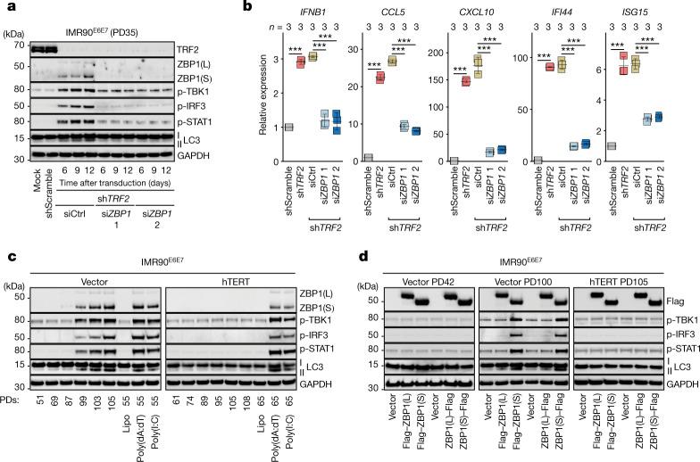 https://cdn.ncbi.nlm.nih.gov/pmc/blobs/94e3/9946831/634050ee9d55/41586_2023_5710_Fig2_HTML.jpg