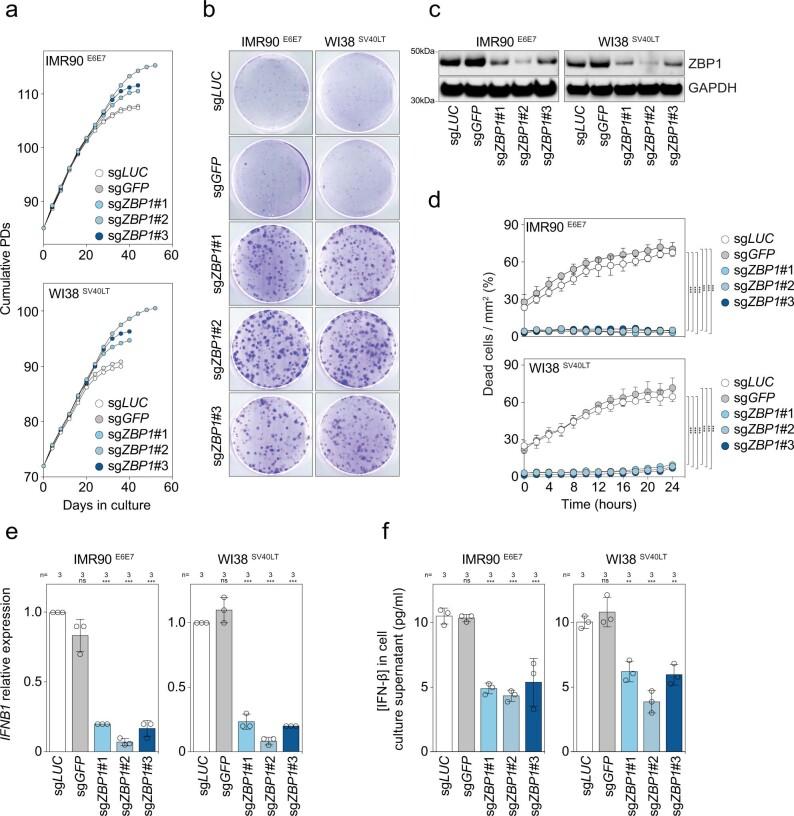 https://cdn.ncbi.nlm.nih.gov/pmc/blobs/94e3/9946831/6f4cc87bc02d/41586_2023_5710_Fig7_ESM.jpg