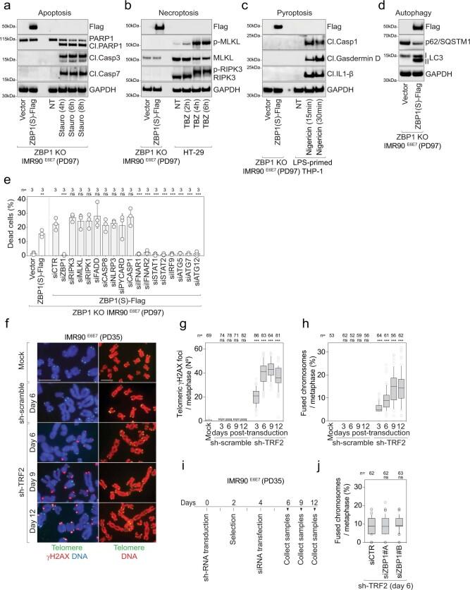 https://cdn.ncbi.nlm.nih.gov/pmc/blobs/94e3/9946831/7eeafae85ec4/41586_2023_5710_Fig10_ESM.jpg