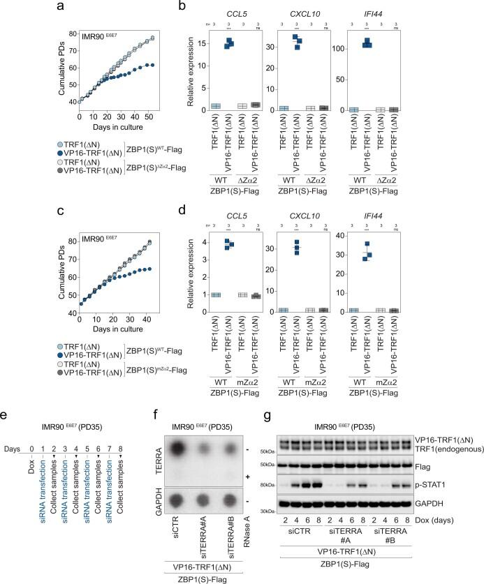 https://cdn.ncbi.nlm.nih.gov/pmc/blobs/94e3/9946831/8c762e2c5f06/41586_2023_5710_Fig14_ESM.jpg