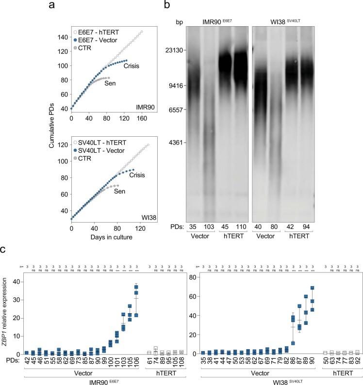 https://cdn.ncbi.nlm.nih.gov/pmc/blobs/94e3/9946831/99b762359df3/41586_2023_5710_Fig11_ESM.jpg