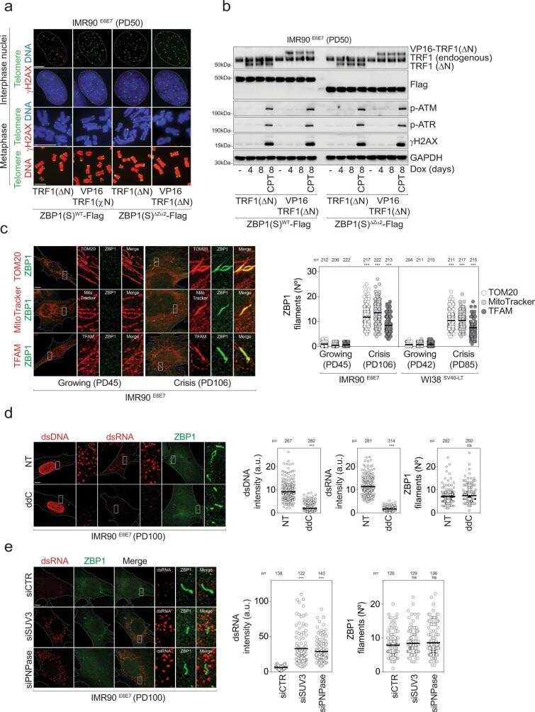 https://cdn.ncbi.nlm.nih.gov/pmc/blobs/94e3/9946831/9ddfae55ad28/41586_2023_5710_Fig15_ESM.jpg