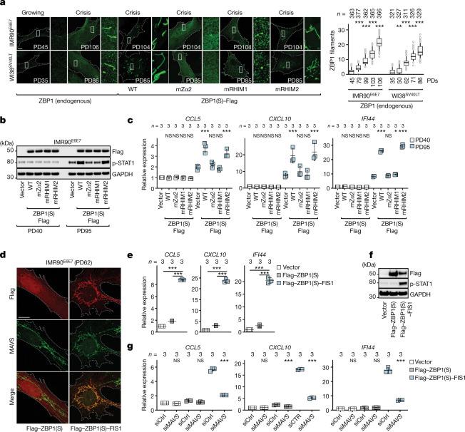 https://cdn.ncbi.nlm.nih.gov/pmc/blobs/94e3/9946831/e490ac9df526/41586_2023_5710_Fig4_HTML.jpg