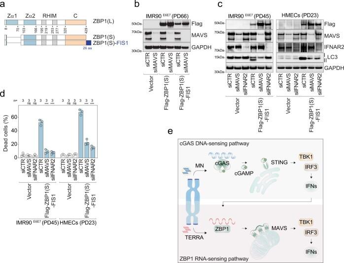 https://cdn.ncbi.nlm.nih.gov/pmc/blobs/94e3/9946831/ed866a54a0de/41586_2023_5710_Fig17_ESM.jpg