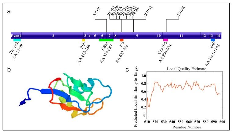https://cdn.ncbi.nlm.nih.gov/pmc/blobs/94e4/5793171/8b5fe02988de/genes-09-00018-g001.jpg