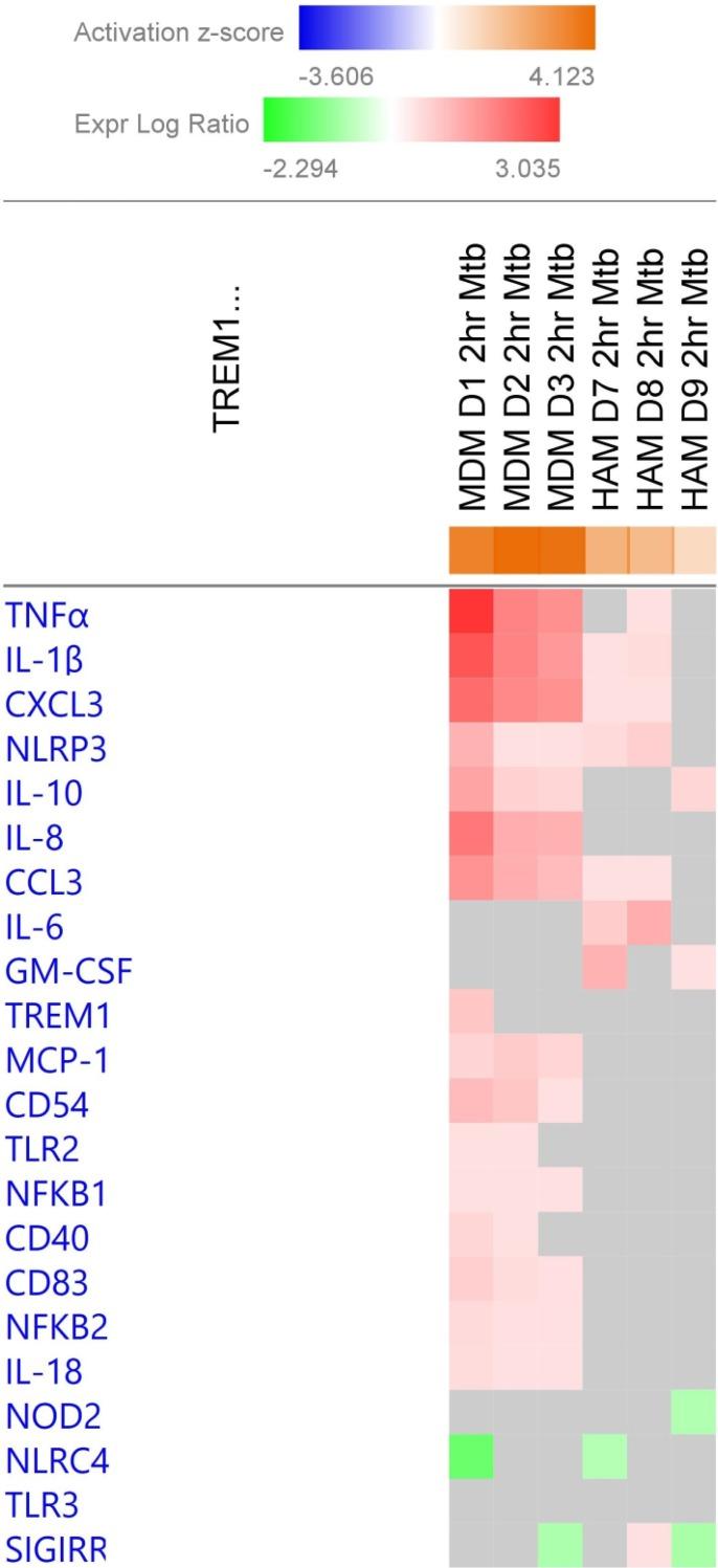 https://cdn.ncbi.nlm.nih.gov/pmc/blobs/94e4/5976201/4b372b0d16c8/pone.0198221.g006.jpg