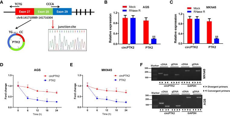 https://cdn.ncbi.nlm.nih.gov/pmc/blobs/94e5/8479173/5cb88994d430/fonc-11-706415-g002.jpg