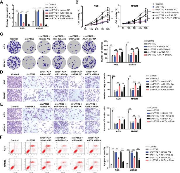 https://cdn.ncbi.nlm.nih.gov/pmc/blobs/94e5/8479173/ec3030d5e9b4/fonc-11-706415-g007.jpg