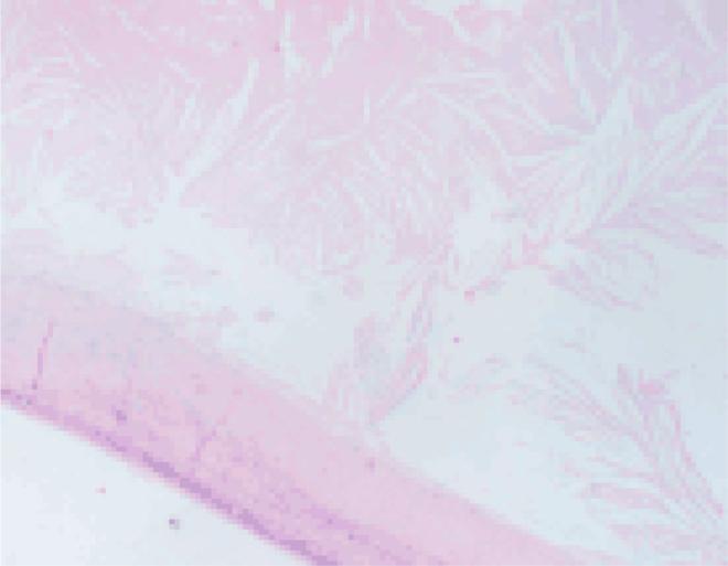 https://cdn.ncbi.nlm.nih.gov/pmc/blobs/94e6/4733033/d96c3fbd6c40/gr3.jpg