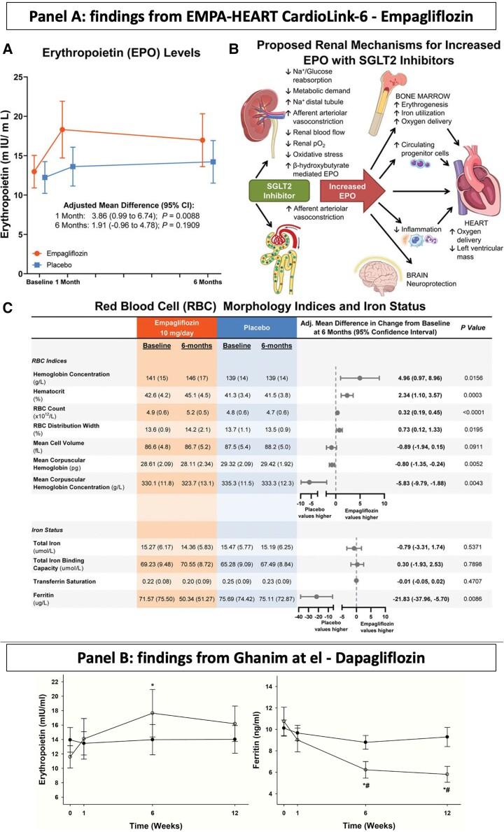 https://cdn.ncbi.nlm.nih.gov/pmc/blobs/94e8/9805408/d6eb08392f9b/ehac569f2.jpg