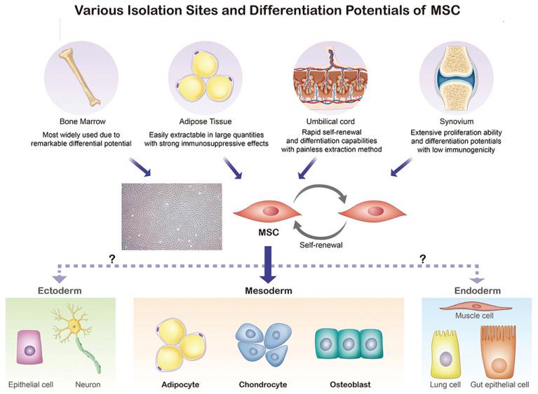https://cdn.ncbi.nlm.nih.gov/pmc/blobs/94e8/9952673/263cf988d6a1/bioengineering-10-00195-g002.jpg