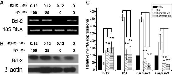 https://cdn.ncbi.nlm.nih.gov/pmc/blobs/94ed/3702466/14d017e60ae4/1472-6882-13-152-7.jpg