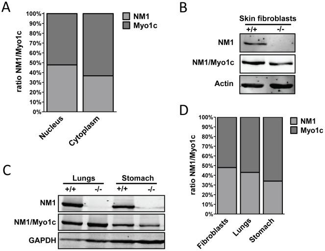 https://cdn.ncbi.nlm.nih.gov/pmc/blobs/94ee/3623870/030f2b0e1c88/pone.0061406.g004.jpg