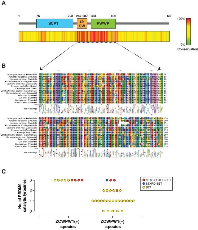 https://cdn.ncbi.nlm.nih.gov/pmc/blobs/94ee/7237205/b58f83a72a3a/elife-53360-fig2.jpg
