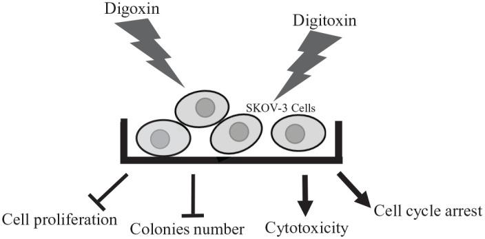 https://cdn.ncbi.nlm.nih.gov/pmc/blobs/94ee/7983234/5dcbfa0a6d8d/10.1177_15347354211002662-fig5.jpg