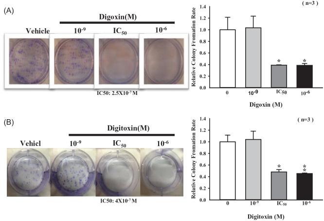 https://cdn.ncbi.nlm.nih.gov/pmc/blobs/94ee/7983234/61528e5be20b/10.1177_15347354211002662-fig2.jpg