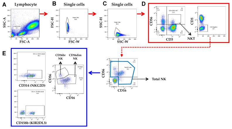 https://cdn.ncbi.nlm.nih.gov/pmc/blobs/94ee/9179373/0cc1a4335c64/cancers-14-02808-g002.jpg