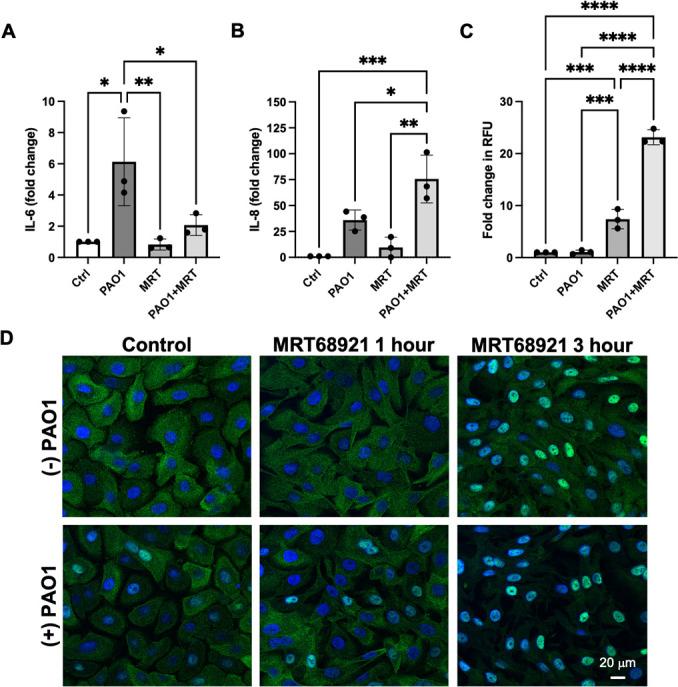 https://cdn.ncbi.nlm.nih.gov/pmc/blobs/94ef/11852725/72a1b1124311/msphere.00537-24.f008.jpg