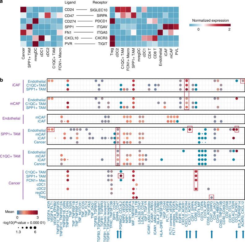 https://cdn.ncbi.nlm.nih.gov/pmc/blobs/94f0/9810605/3a8db1c202b1/41413_2022_237_Fig7_HTML.jpg