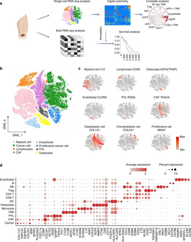 https://cdn.ncbi.nlm.nih.gov/pmc/blobs/94f0/9810605/3c677bc2ae65/41413_2022_237_Fig1_HTML.jpg