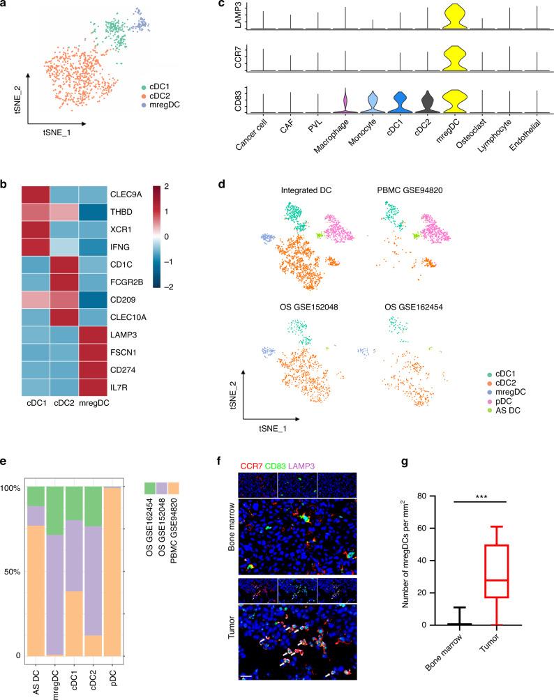 https://cdn.ncbi.nlm.nih.gov/pmc/blobs/94f0/9810605/6f3f8c72b39e/41413_2022_237_Fig2_HTML.jpg