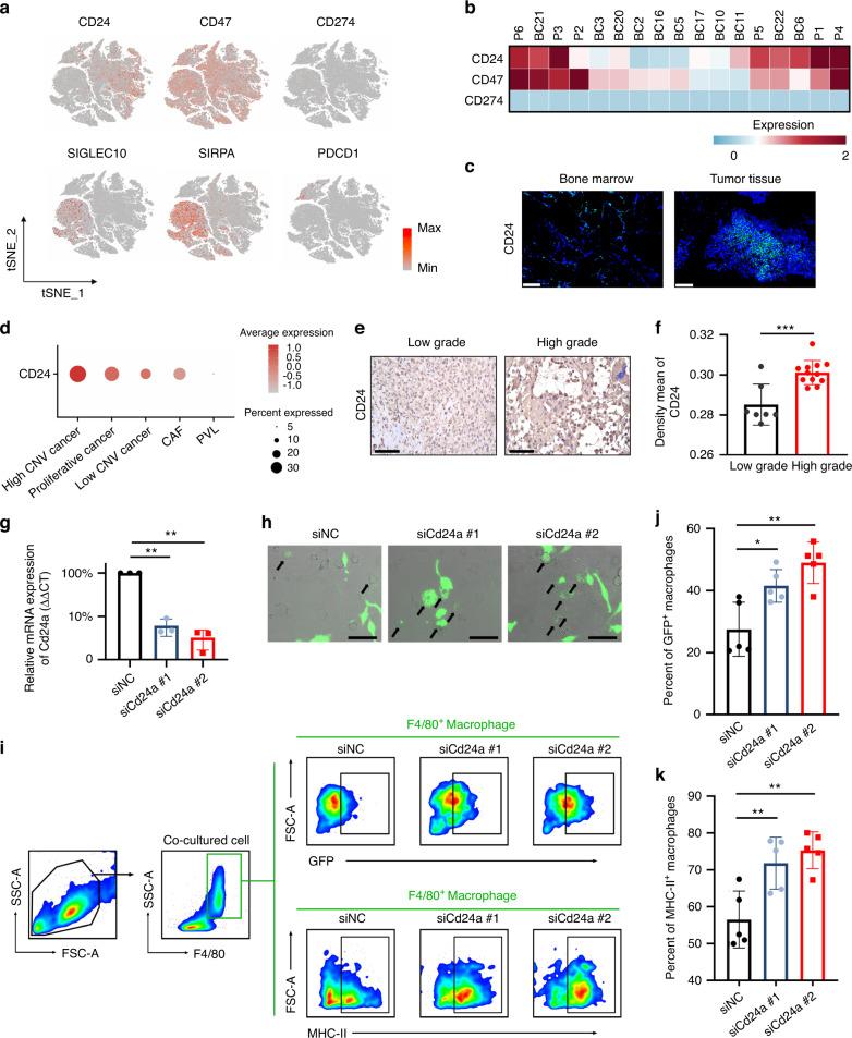 https://cdn.ncbi.nlm.nih.gov/pmc/blobs/94f0/9810605/8e276d0c3646/41413_2022_237_Fig5_HTML.jpg