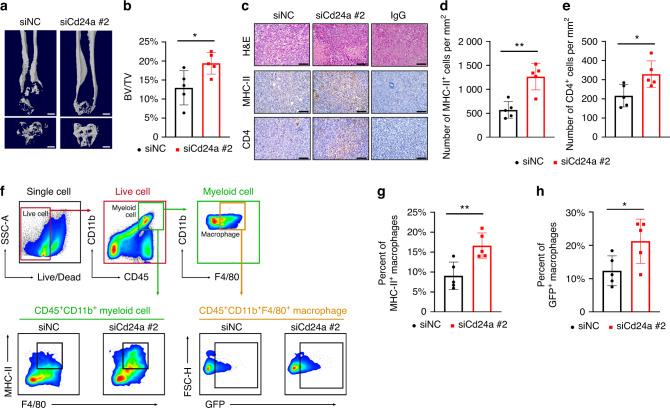 https://cdn.ncbi.nlm.nih.gov/pmc/blobs/94f0/9810605/f5da9250ba09/41413_2022_237_Fig6_HTML.jpg
