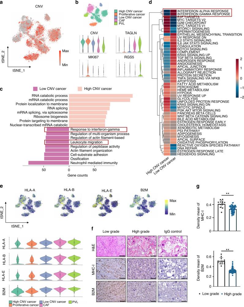https://cdn.ncbi.nlm.nih.gov/pmc/blobs/94f0/9810605/f5f3aacbc123/41413_2022_237_Fig4_HTML.jpg