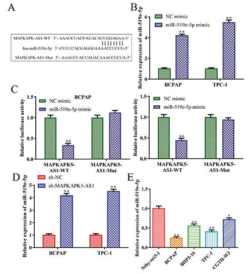 https://cdn.ncbi.nlm.nih.gov/pmc/blobs/94f7/7731578/36cd5ad6614b/ejh-64-4-3177-g003.jpg