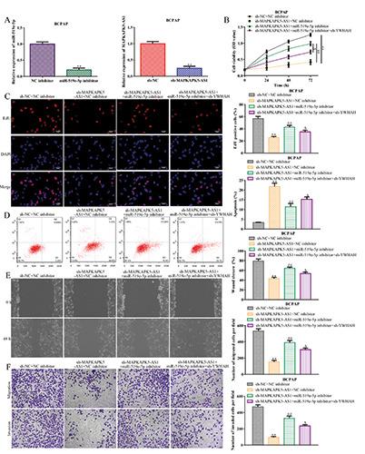 https://cdn.ncbi.nlm.nih.gov/pmc/blobs/94f7/7731578/b22153aeaad1/ejh-64-4-3177-g005.jpg