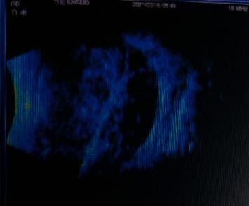 https://cdn.ncbi.nlm.nih.gov/pmc/blobs/94f8/9303137/671890a5ca03/BMRI2022-6539917.003.jpg