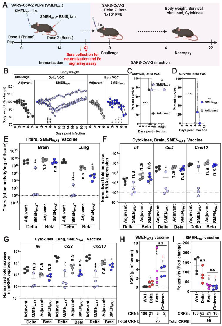 https://cdn.ncbi.nlm.nih.gov/pmc/blobs/94f9/11435481/ea2ace3c9c04/vaccines-12-01007-g004.jpg