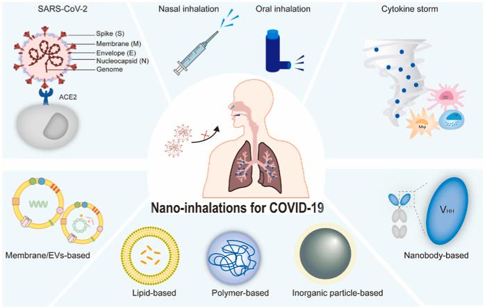 https://cdn.ncbi.nlm.nih.gov/pmc/blobs/94fc/10213807/159e6e70968e/ga1.jpg