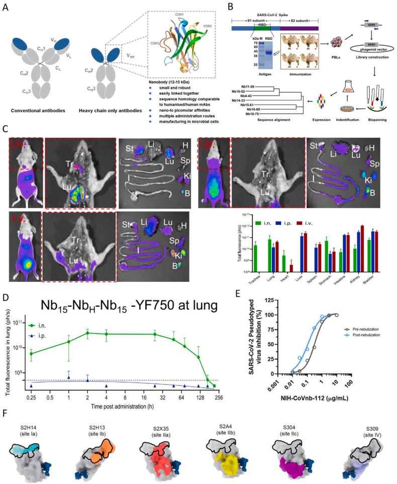 https://cdn.ncbi.nlm.nih.gov/pmc/blobs/94fc/10213807/ce4809a156e1/gr6.jpg
