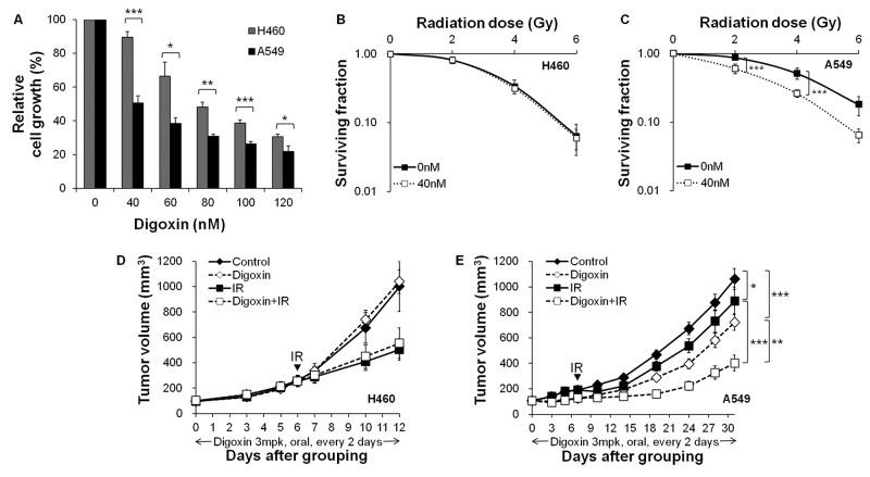 https://cdn.ncbi.nlm.nih.gov/pmc/blobs/9500/5707360/bdbdfbcb6cbb/bsr-37-bsr20171257-g1.jpg
