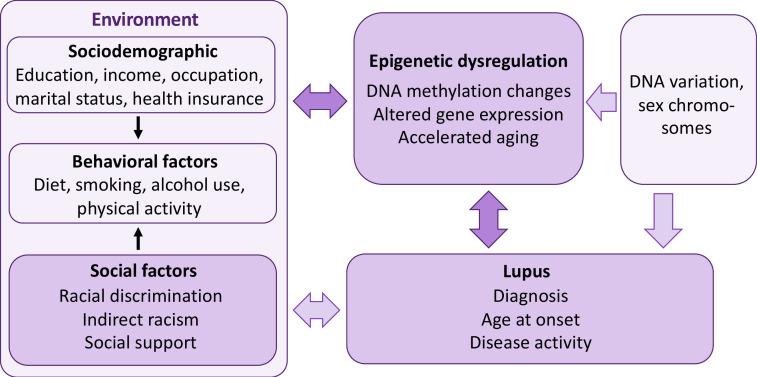 https://cdn.ncbi.nlm.nih.gov/pmc/blobs/9500/9244713/6d8c7dca04b1/lupus-2022-000698f02.jpg