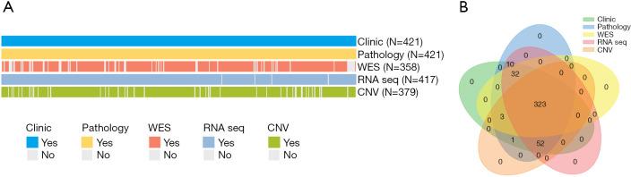 https://cdn.ncbi.nlm.nih.gov/pmc/blobs/9501/10267923/c50db48239df/jtd-15-05-2528-f2.jpg