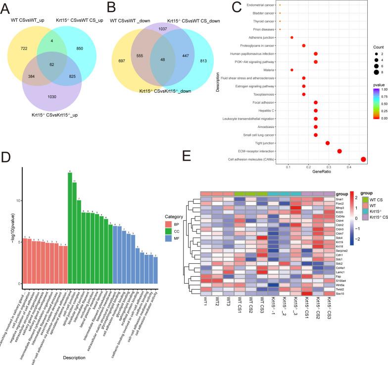 https://cdn.ncbi.nlm.nih.gov/pmc/blobs/9502/10675954/22065e2fc12c/12931_2023_2598_Fig4_HTML.jpg