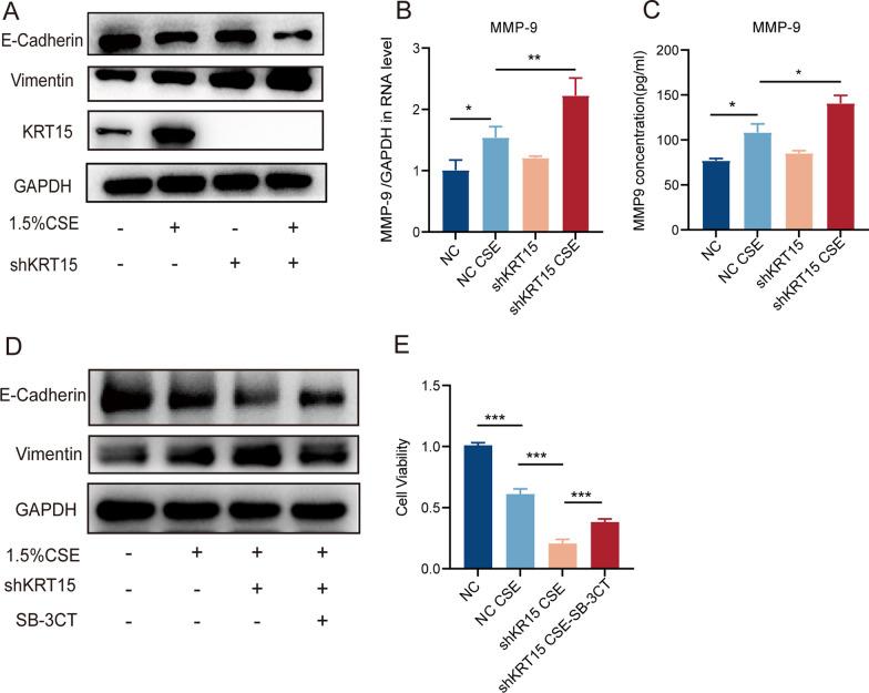 https://cdn.ncbi.nlm.nih.gov/pmc/blobs/9502/10675954/7758bb965115/12931_2023_2598_Fig8_HTML.jpg
