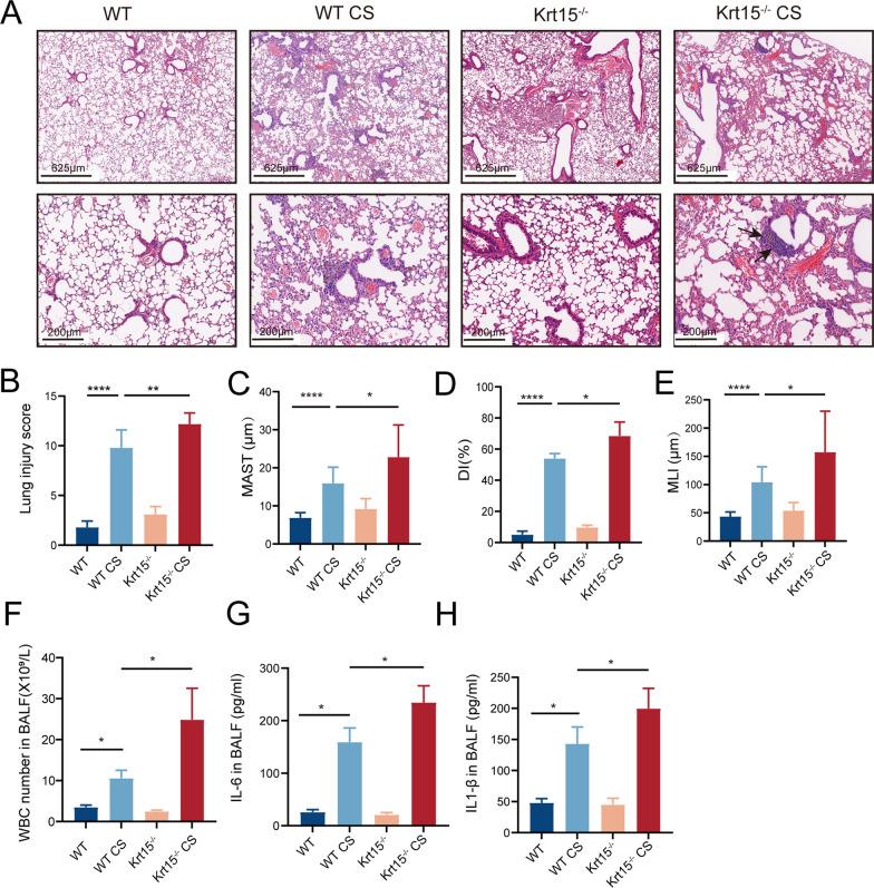 https://cdn.ncbi.nlm.nih.gov/pmc/blobs/9502/10675954/a4e2b53c470a/12931_2023_2598_Fig3_HTML.jpg