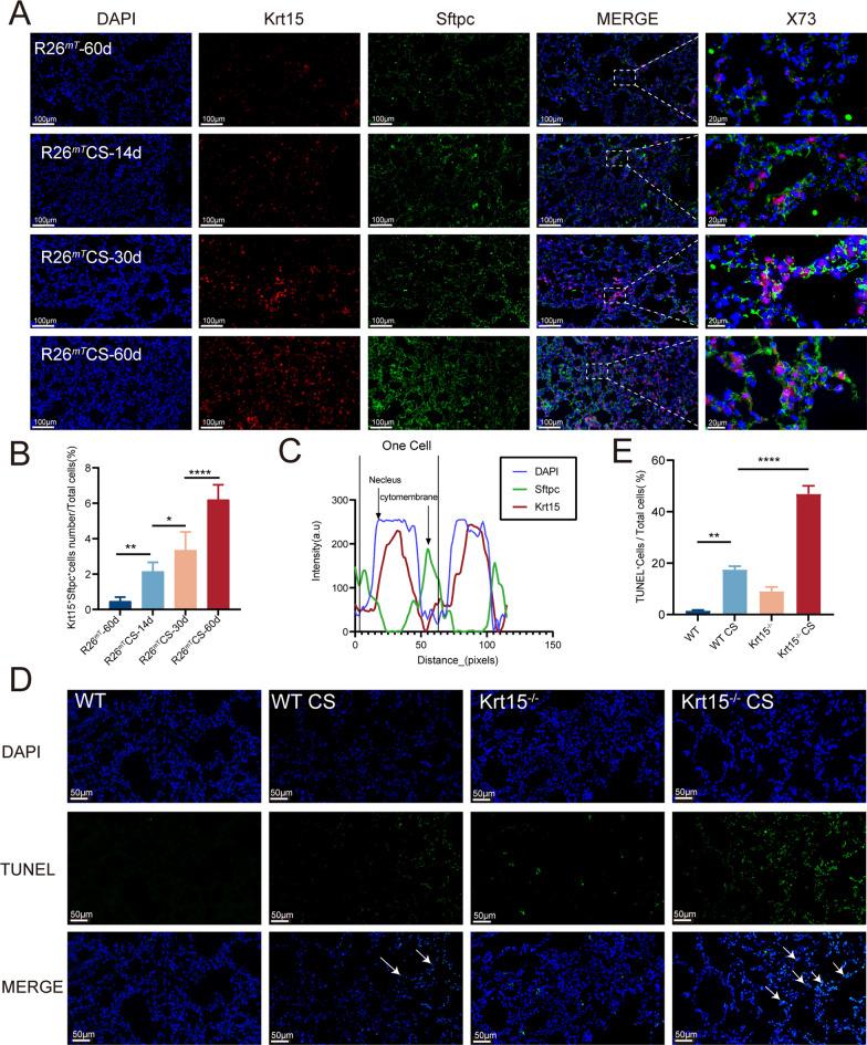 https://cdn.ncbi.nlm.nih.gov/pmc/blobs/9502/10675954/eecf8b6f530f/12931_2023_2598_Fig9_HTML.jpg